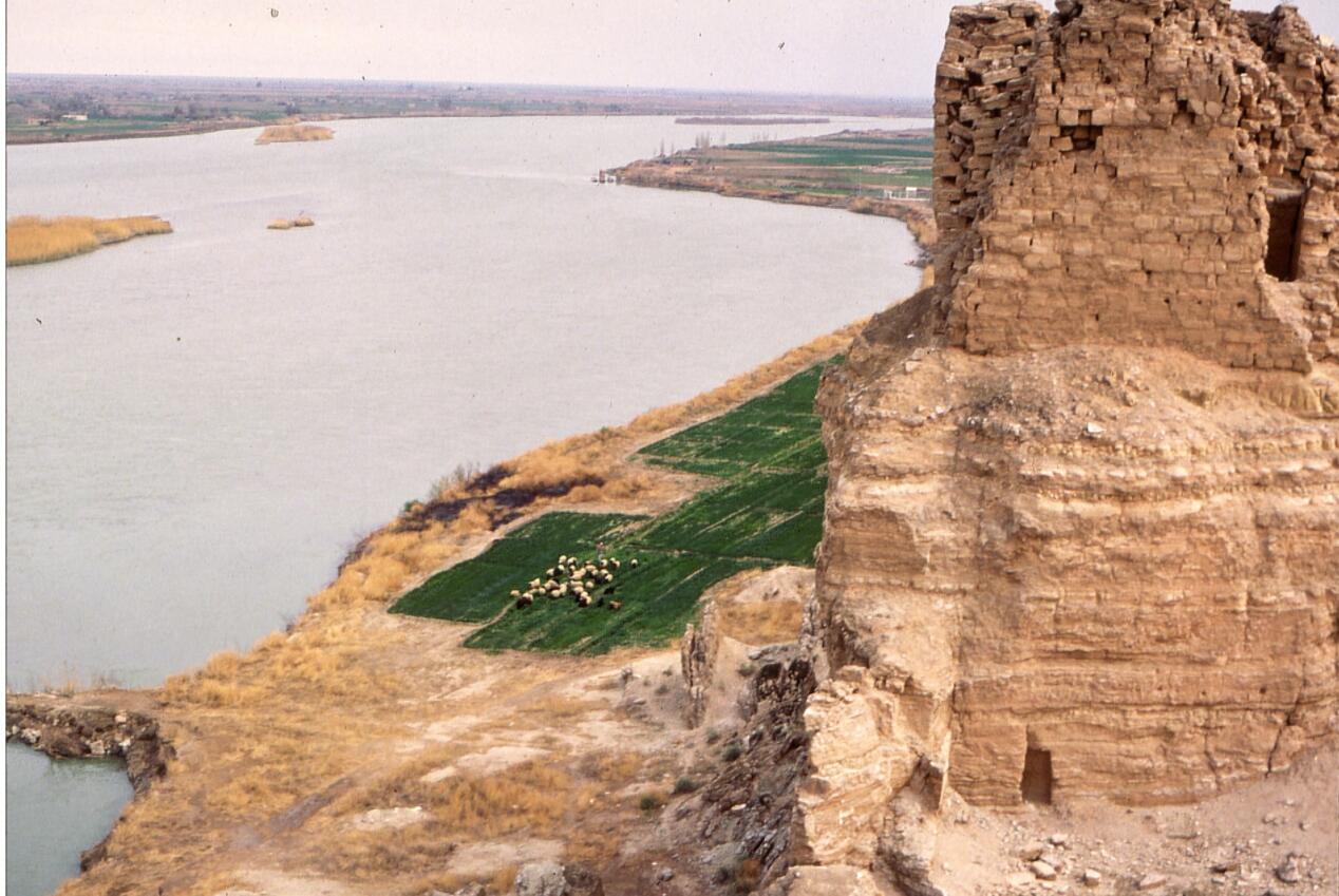 Syria Agriculture on the Euphrates