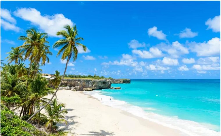 Best Travel Time and Climate for Barbados