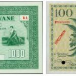 French Guyana Healthcare and Money