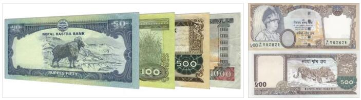 Nepal Money