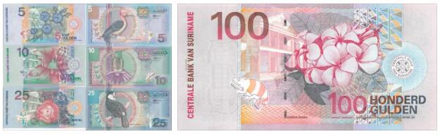 Suriname Money