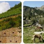 Andorra Agriculture, Fishing and Forestry